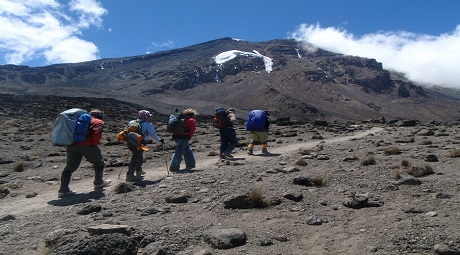 7 Days Lemosho Route-Mount Kilimanjaro climbing