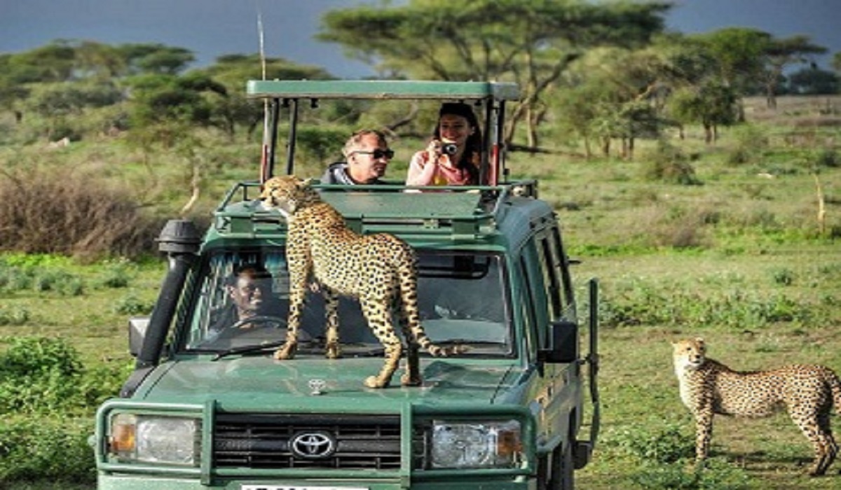 5 Days Tanzania safari tour Tarangire,Lake Manyara,Ngorongoro and Serengeti national park