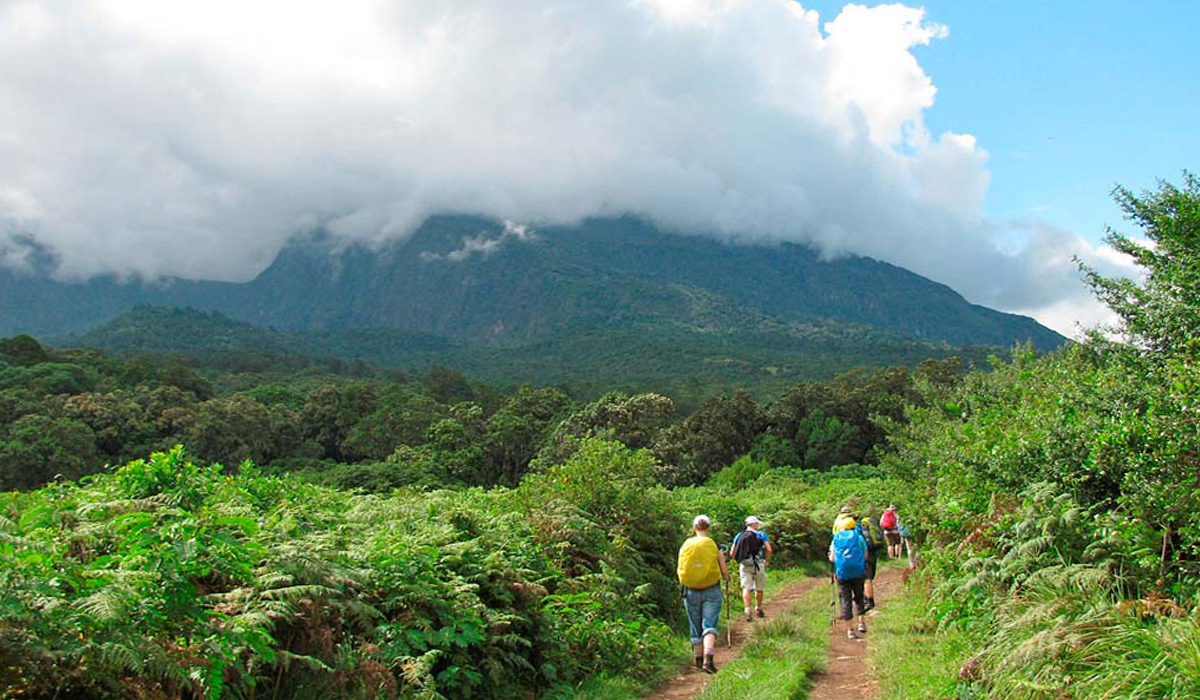 4 Days  Mount Meru Trekking Trip in 2023,2024 & 2025 From Moshi or Arusha