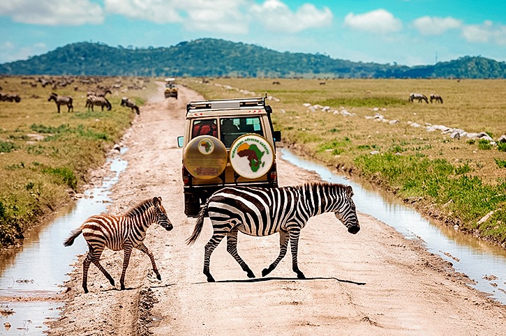 Detailed 2 days Tanzania safari to Lake Manyara & Ngorongoro crater 2024