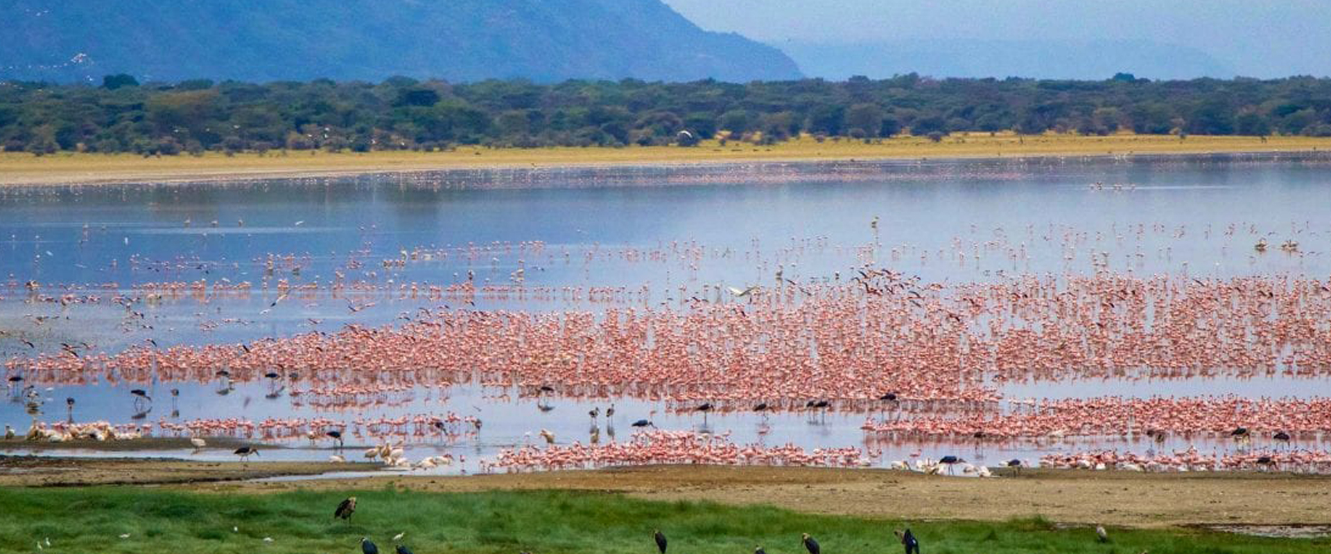 Detailed 4 days Tanzania safari to Serengeti, Lake Manyara & Ngorongoro crater